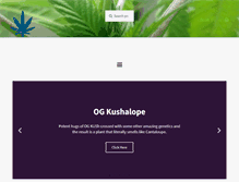 Tablet Screenshot of cannahealth.com